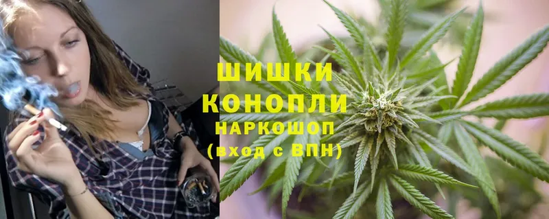 Каннабис OG Kush  Аргун 